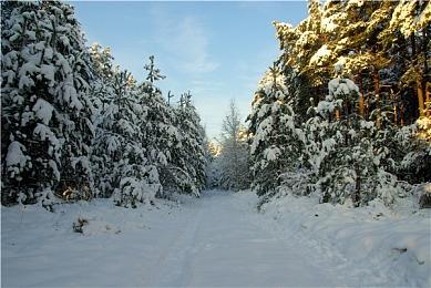 《NBA 2K23》代币交易封号解禁之后出现疯狂天价